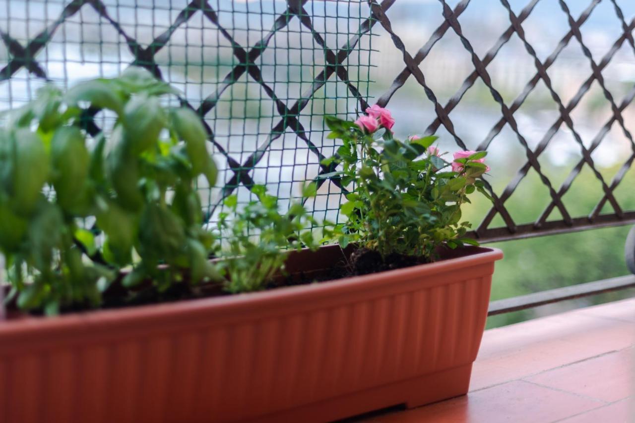 Superb Cute Flat Barcelona Bests View On The Sea For Couple エクステリア 写真